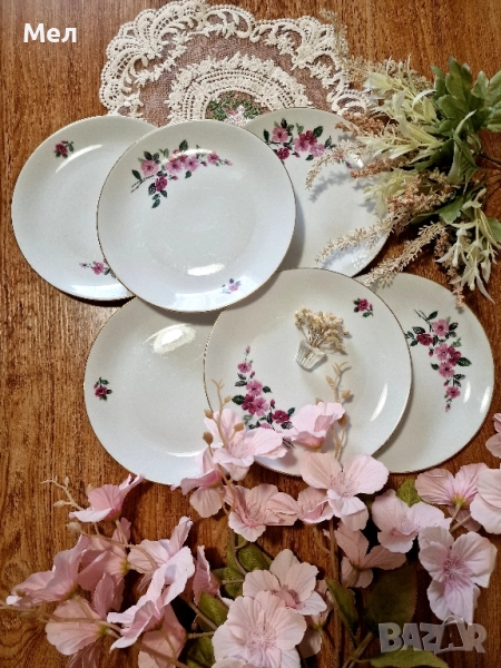 Чинии Бохемя , снимка 1