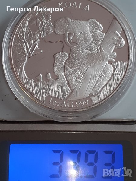 коала от Австралия, снимка 1