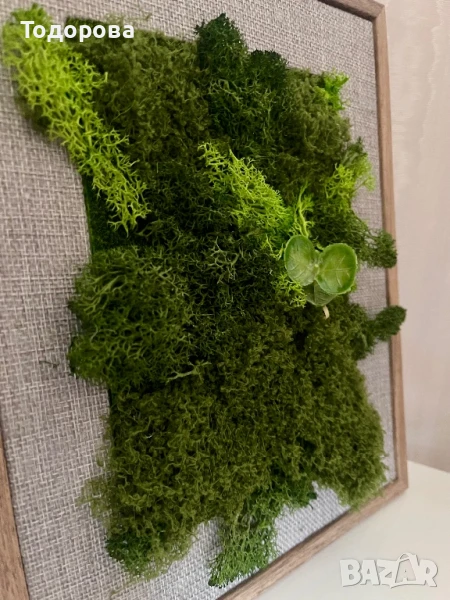 Зелена картина/пано от скандинавски мъх, снимка 1