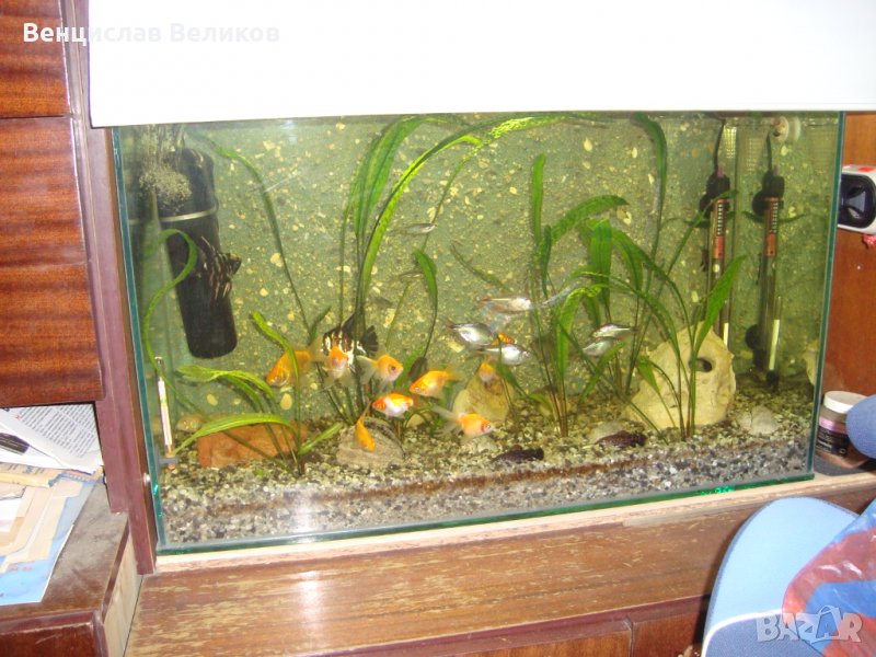 Аксесоари за аквариум, снимка 1