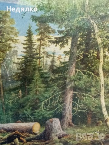 И.Шишкин,Рубка леса, картина, репродукция,1965г, снимка 12 - Антикварни и старинни предмети - 40356347