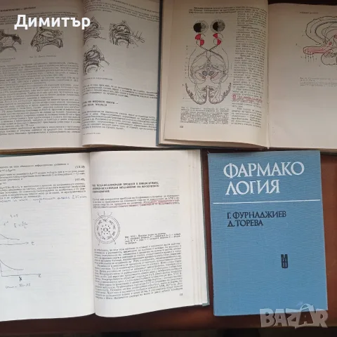 Медицинска литература хирургия биохимия фармакология нервни уши нос гърло , снимка 2 - Специализирана литература - 56136532