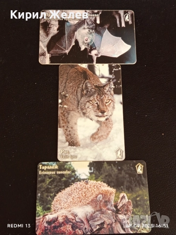 Три фонокарти тема ЖИВОТНИ ТАРАЛЕЖ,РИС,ПРИЛЕП МАЛЪК ПОДКОВОНОС 42406