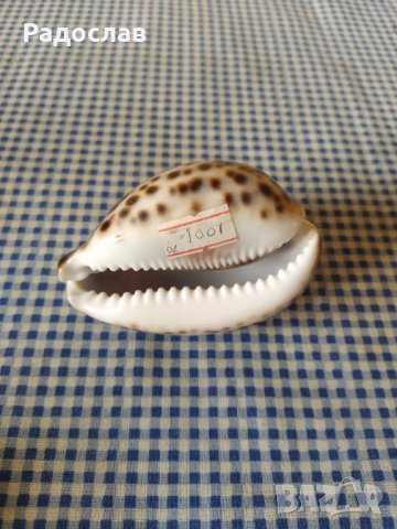 сувенири от Шри Ланка , снимка 7 - Ръчно изработени сувенири - 39547136