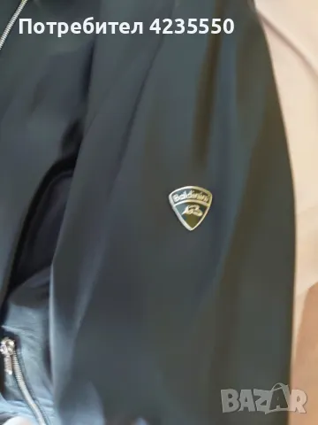 Луксозно италианско яке Baldinini, снимка 1