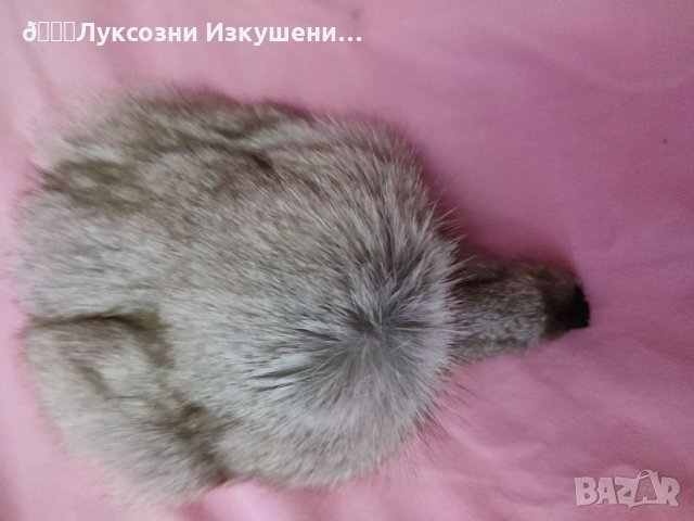 Сребърна лисица, снимка 8 - Чанти - 34181373