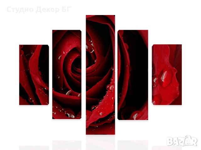 Картина Червена роза #232 , снимка 2 - Картини - 11341559
