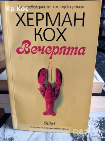 Различни известни и актуални романи, разкази, есета, снимка 11 - Художествена литература - 53115835