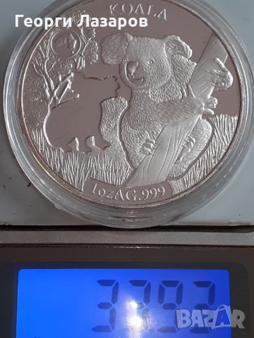 коала от Австралия