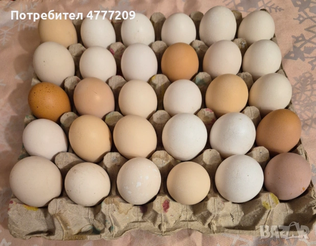 Домашни яйца 