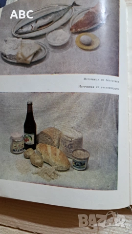 Детска кухня, снимка 5 - Специализирана литература - 54243109