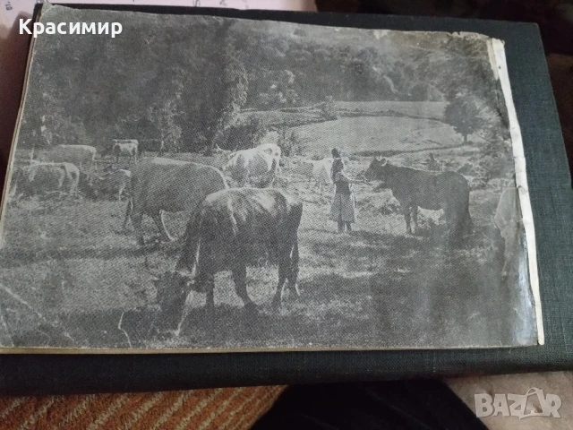 Знаме на комунизма.1965 г., снимка 9 - Специализирана литература - 50833906