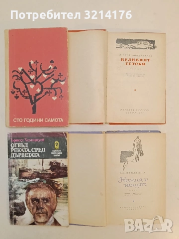 Нежна е нощта - Франсис Скот Фицджералд (1967), снимка 2 - Художествена литература - 54256071