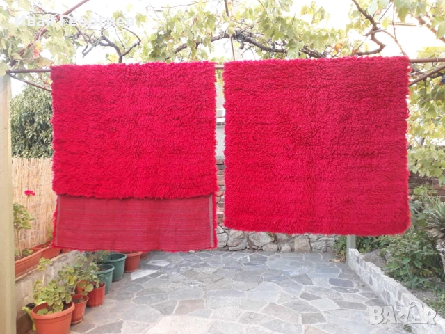 Китеници, снимка 3 - Други - 51736031