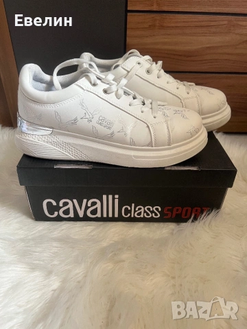 Кецове roberto cavalli