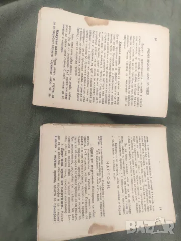 Продавам книга "Вегетариански другар.Жени Божилова, снимка 2 - Специализирана литература - 49188177