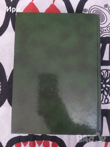 Живо Слово, снимка 2 - Езотерика - 37194963