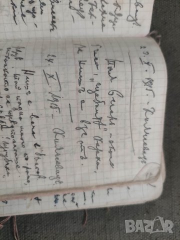 Дневник ПСВ ,превземането на Ниш 1915

, снимка 6 - Други ценни предмети - 42788464