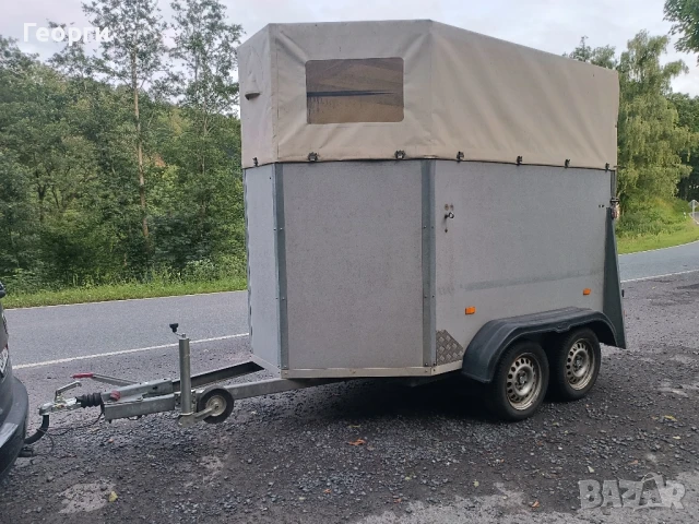 Ремарке за коне