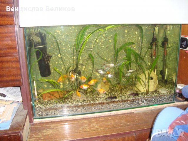 Аксесоари за аквариум, снимка 1 - Аквариуми - 29685364