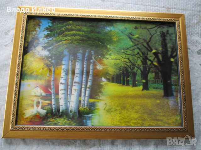 Картини различни, снимка 8 - Картини - 46311075