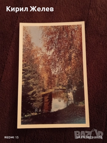 Ретро фотографии от ПАРКА ПАВЛОСК СССР за КОЛЕКЦИОНЕРИ 6402, снимка 4 - Колекции - 51883379