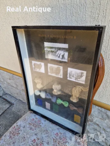 Стар страхотен антикварен постер табло макет, снимка 7 - Други ценни предмети - 47364072