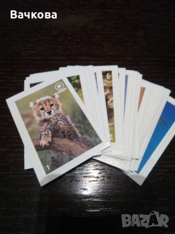 37 броя стикери Анимал Планет от Билла, снимка 2 - Колекции - 30778975