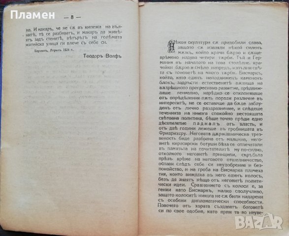 Прологътъ Теодоръ Волфъ, снимка 4 - Антикварни и старинни предмети - 37471459