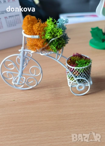 живи картини декорации от скандинавски мъх., снимка 8 - Картини - 53978658