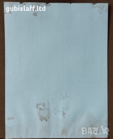 Картина, детски портрет, худ. Петър Петров, 1989 г., снимка 4 - Картини - 39506589