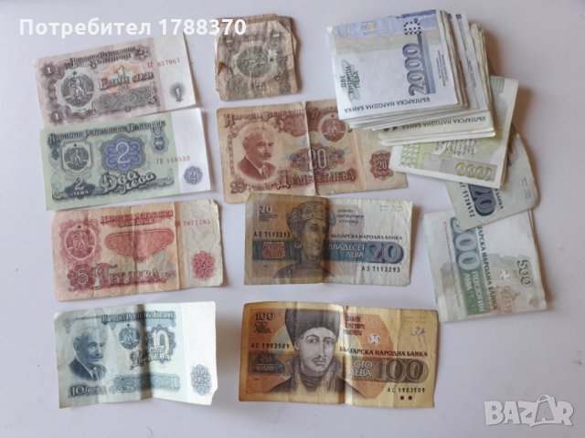 Стари левове