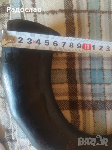 полиран животински рог, снимка 5 - Декорация за дома - 50533803