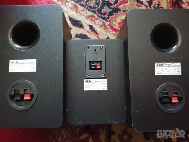тонколони AEG DVD4618, снимка 5 - Тонколони - 48602255
