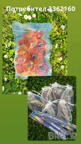 Комплект Червена мухоморка (Amanita muscaria)