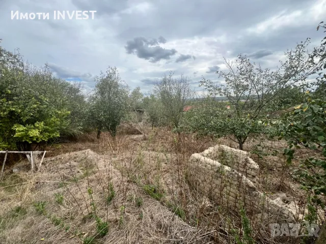 Парцел/ Къща - с.Алваново/ №8942, снимка 7 - Къщи - 49889499