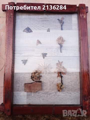 Картина, снимка 2 - Декорация за дома - 42448996