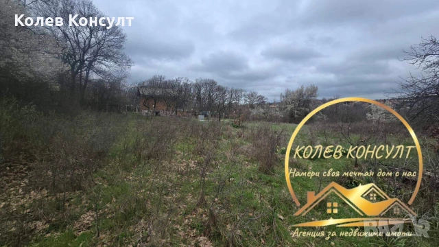 🥇 Агенция “Колев Консулт” продава парцел със стара къща в град Димитровград, вилна зона Габера , снимка 4 - Къщи - 54035642