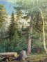И.Шишкин,Рубка леса, картина, репродукция,1965г, снимка 12