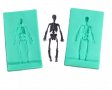 3D човешки скелет 2 части силиконов молд форма фондан гипс смола , снимка 1 - Форми - 31255644