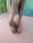 ДАМСКИ Ботуши Запазени , снимка 9