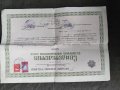 Продавам стар документ Свидетелство от основно училище " Христо Ботев" София 1937