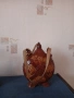 Бъклици, снимка 17