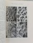 Лот 1938-1940 Jahresbericht des Archivs für Polarforschung im Naturhistorischen Museum Wien 1-3 , снимка 6