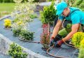 Градинарски услуги, Поддръжка на градини, дворове, Изграждане на капково напояване