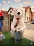 Анимационни услуги , снимка 6