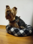 йорки, снимка 5