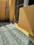 Бирмански питон. , снимка 1