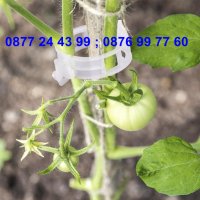 к-т 50 бройки щипка - клипс за подържане на домати и растения - КОД 3691, снимка 4 - Разсади - 36674946