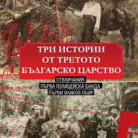 Три истории от Третото българско царство, снимка 1 - Други - 30813267